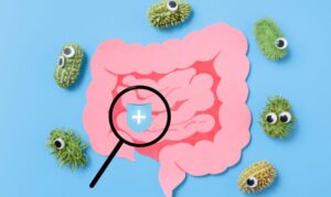 Blastocystis spp PCR רופא פרטי - מומחה גסטרו לטפילים בקיבה